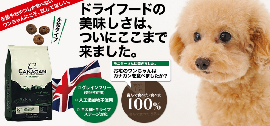 カナガンドッグフード最安値